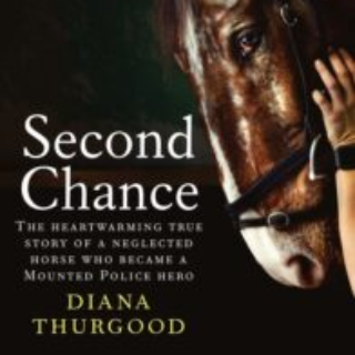 Book signing and chat with Author of Second Chance Diana Thurgood